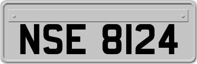 NSE8124