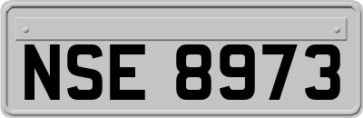 NSE8973