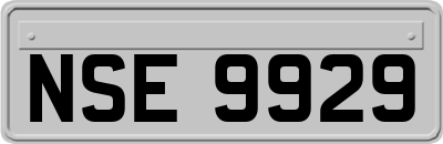 NSE9929