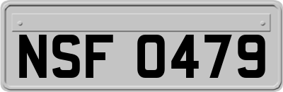NSF0479
