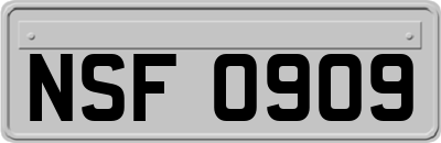 NSF0909