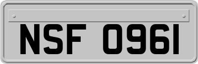 NSF0961