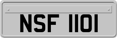 NSF1101