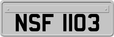 NSF1103