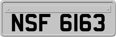 NSF6163