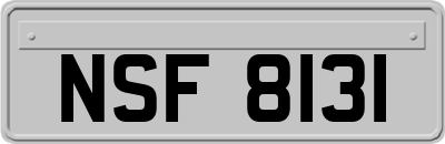 NSF8131