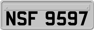 NSF9597