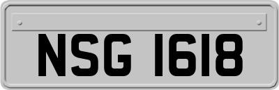 NSG1618