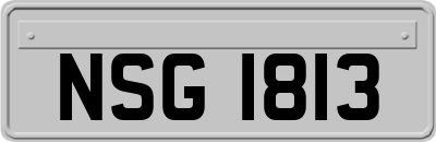 NSG1813