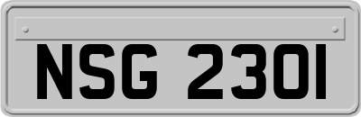 NSG2301