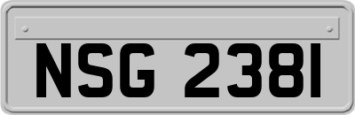 NSG2381