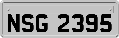 NSG2395