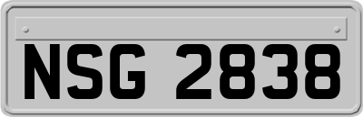 NSG2838