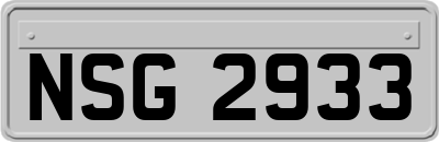 NSG2933