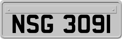 NSG3091