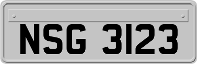 NSG3123