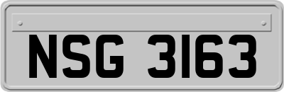 NSG3163