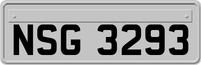 NSG3293