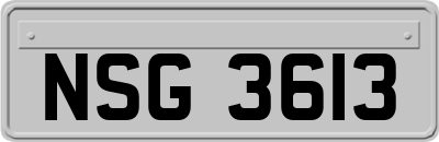 NSG3613