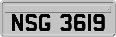 NSG3619