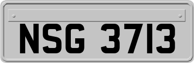 NSG3713