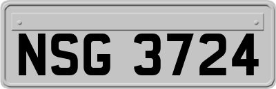 NSG3724