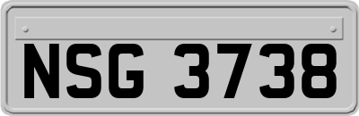 NSG3738