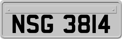 NSG3814