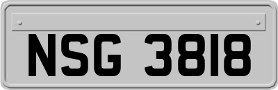 NSG3818