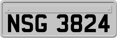 NSG3824