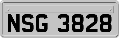 NSG3828