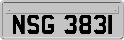 NSG3831