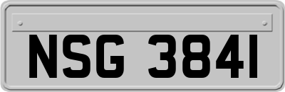 NSG3841