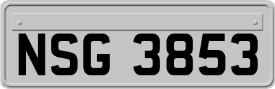 NSG3853