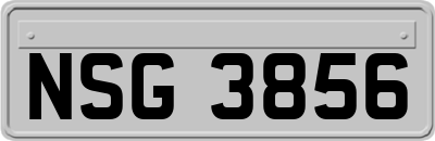 NSG3856