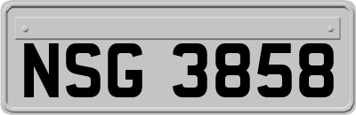 NSG3858