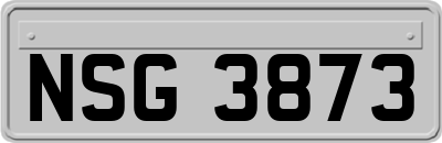 NSG3873