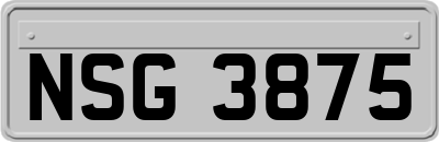 NSG3875