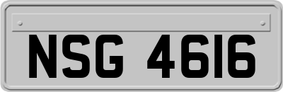 NSG4616