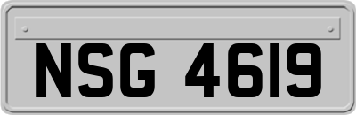 NSG4619