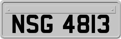 NSG4813