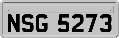 NSG5273