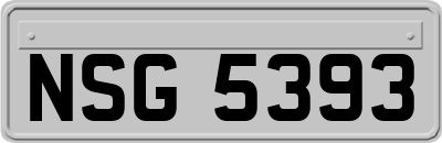 NSG5393