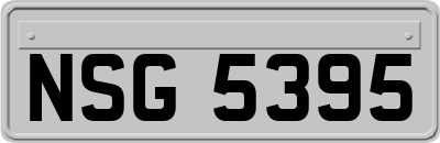 NSG5395