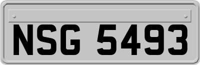 NSG5493