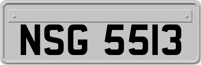 NSG5513