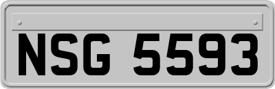 NSG5593