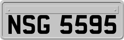 NSG5595