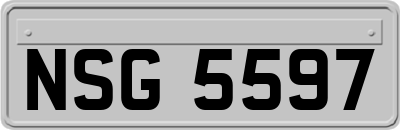 NSG5597