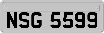 NSG5599